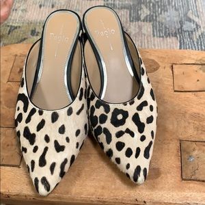 Linea Paolo Zadie Mule